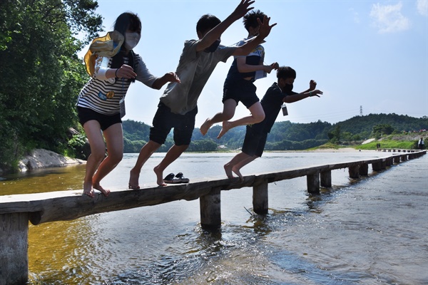 탐사대 아이들이 외나무다리에서 뛰어내리고 있다. 이처럼 내성천은 아이들이 놀기에 너무 안전한 강이다.
