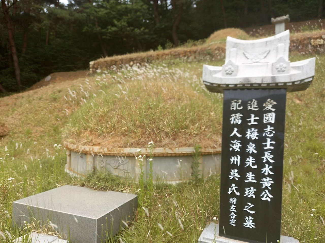 황현의 묘소가 자리한 매천 유적공원은 웃자란 잡풀더미에 봉분 앞 상석조차 덮일 정도로 관리가 되지 않고 있었다. 