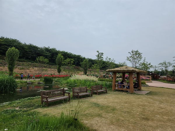 안양천 장미길 습지원 모습(2022년 5월 30일 오전 촬영)