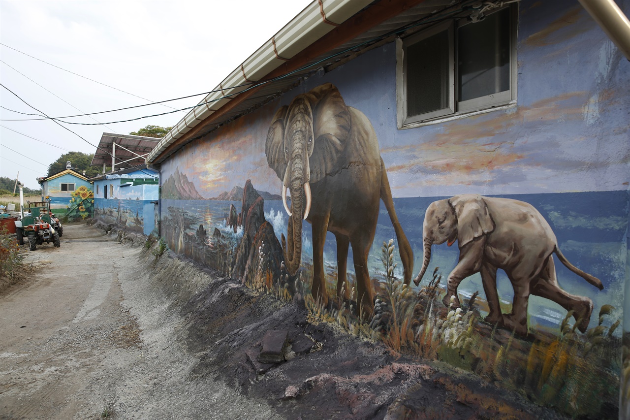 코끼리가 그려진 마을 벽화. 보성 장도는 한때 '코끼리 유배 섬'으로 입소문을 탔다.
