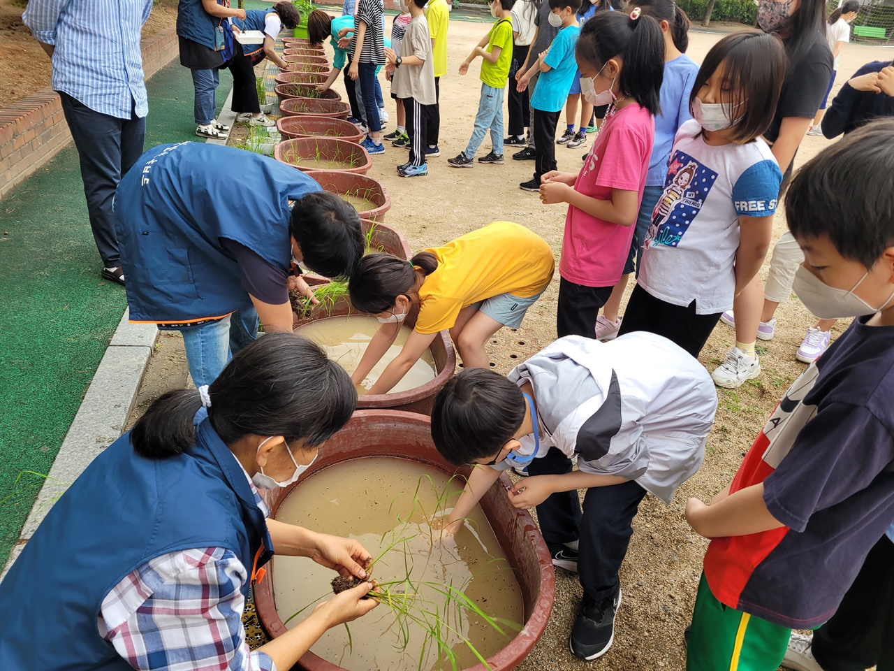 지난16일 서울미동초등학교 학생들이 모내기 체험을 하고 있다.