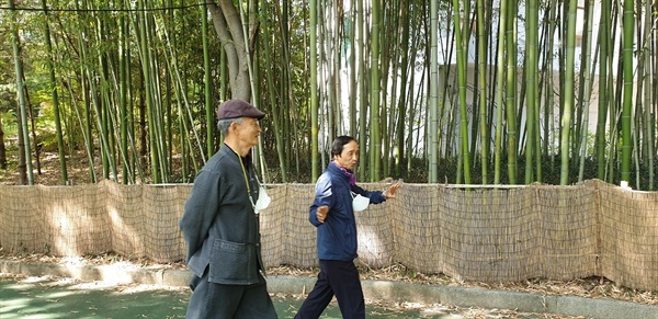 5월 4일 아침, 김민곤, 김광철 <우리교육> 기획·편집위원이 장권호 선생과 함께 대나무 숲길을 걸으면서 인터뷰를 진행하고 있다.  