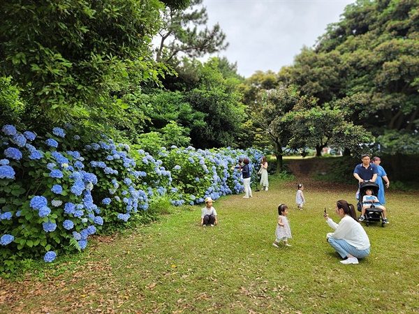 제주 혼인지 파란 수국 앞에서 가족들과 함께 즐거운 시간을 보내는 모습(2022년 6월 20일 촬영)