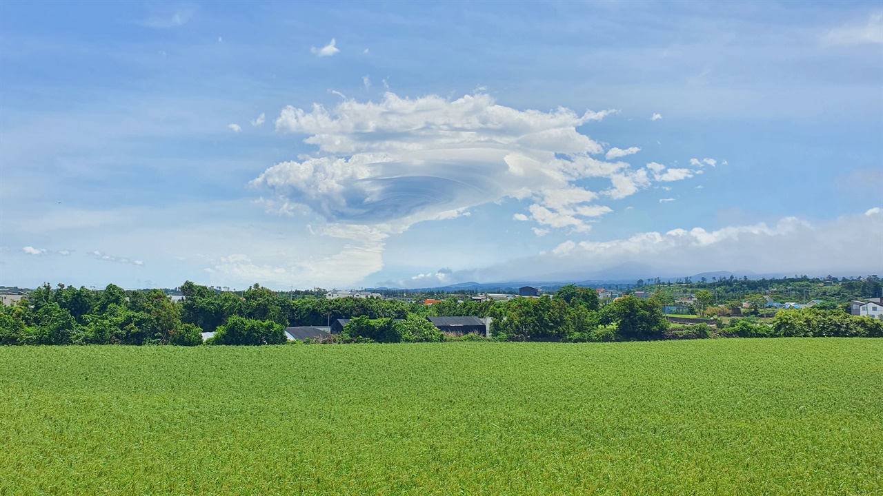  초대형 렌즈구름이 나타난 제주 애월읍 기장밭 풍경. 