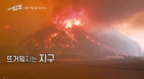  KBS 1TV <시사 직격>의 한 장면.