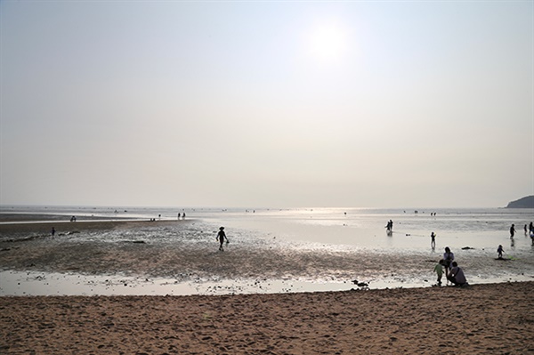 인천시 중구 무의도에 위치한 하나개 해수욕장. 해수욕을 즐기는 사람들과 조개를 캐는 사람들로 가득 찼다.