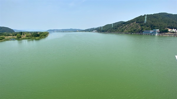 강 전체가 녹조로 가득하다. 대구 취수장이 있는 강정고령보 상류의 모습이다. 6월 22일 낙동강 현장 모습. 
