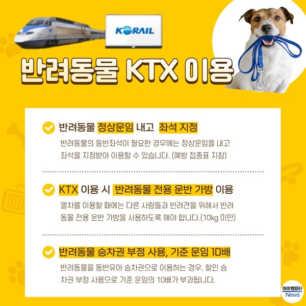 반려동물 KTX 이용방법