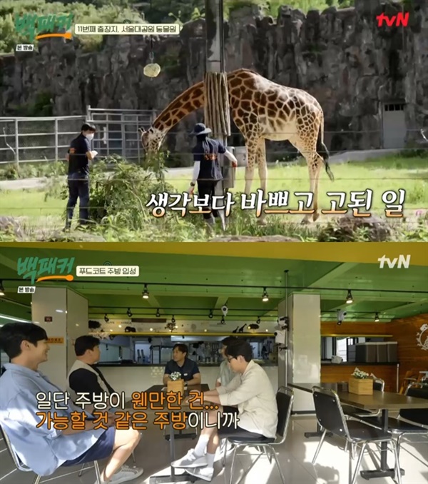  지난 11일 방영된 tvN '백패커'의 한 장면.