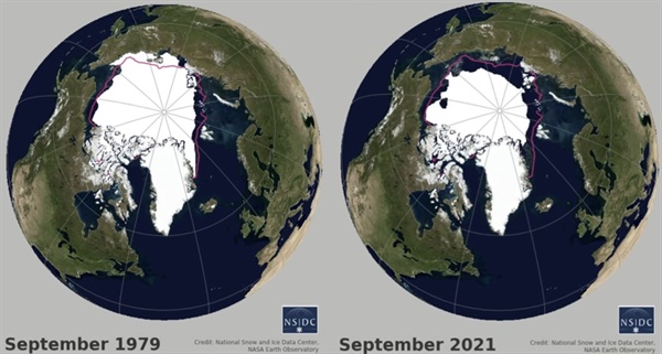 1979년과 2021년의 9월 해빙 면적을 비교한 자료이다. 분홍색 선은 해당 월의 30년(1981-2010) 동안의 중앙값을 표시한다. 