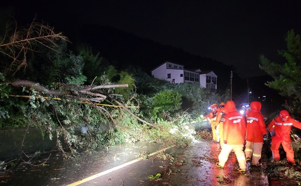 제11호 태풍 '힌남노'가 6일 새벽 경남 남해안에 상륙한 가운데 소방대원들이 이날 새벽 통영시 산양읍에서 강풍에 쓰러진 나무 제거작업을 하고 있다.