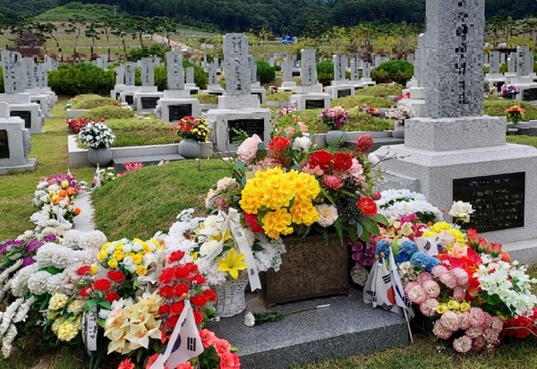 조화를 근절해 보여주기식 겉치레 문화를 바꿔나가야 한다고 전문가들은 말한다. 사진은 대전현청원 한 묘지 앞에 조화가 쌓여있는 모습.