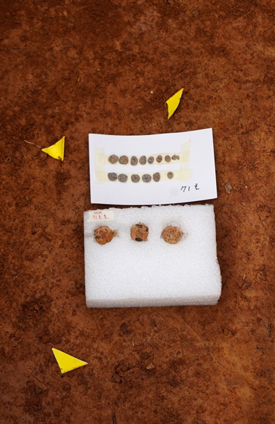 무덤에서 발견된 치아(위)와 단추, 노란 깃발이 발견 장소