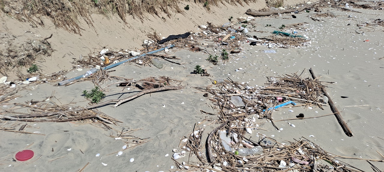 충남 보령시 원산도에 위치한 소록도 인근의 바닷가에 해양  쓰레기가 몰려와 있다. 