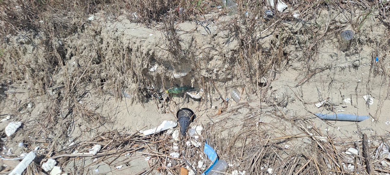충남 보령시 소독로 인근 해변의 사구이다. 사구 곳곳에 쓰레기가 파묻혀 있다. 