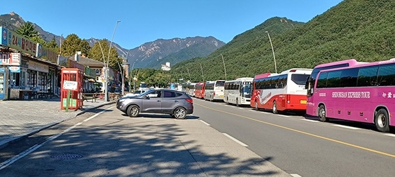 지난 1일 설악동 C지구 상가에 많은 관광버스가 주차돼 있다.