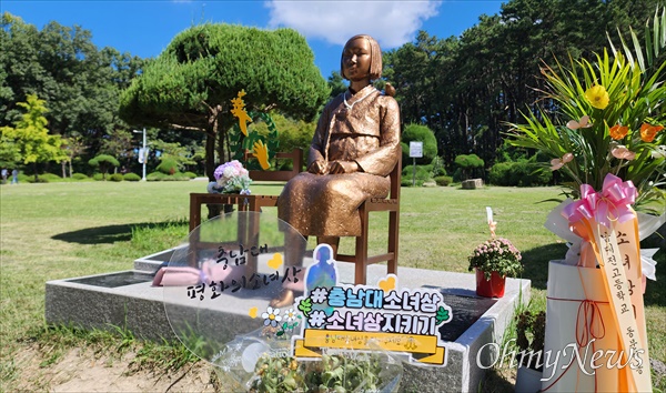 충남대 대덕캠퍼스 서문 인근 잔디광장에 설치된 '충남대 평화의 소녀상'.