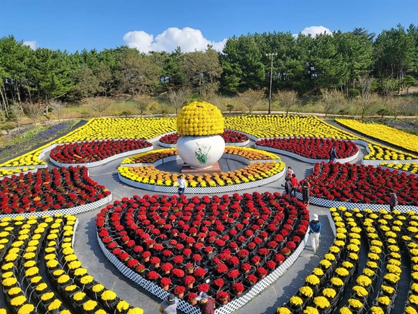 안면도의 한 꽃 공원에도 꽃 나들이에 나선 시민들이 많았다.