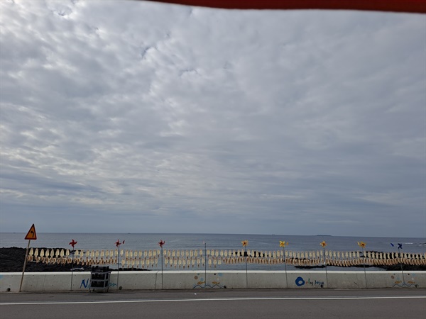 정방폭포 가는 길에서 만난 남원 바닷가, 오징어가 있는 풍경이 여행자의 발걸음을 멈추게 한다.