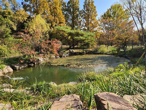 가을 정취가 물씬 풍기는 경북천년숲정원 허브원 앞 연못 모습