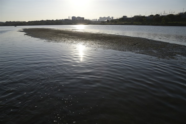 금호강의 아침. 태양이 서 있는 저 앞으로 달서천이 보인다. 이 일대는 모두 모래톱이다. 강 가운데 작은 모래섬이 만들어졌다.  