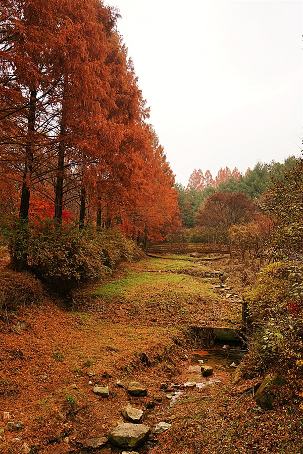 대전 중구 사정공원 풍경