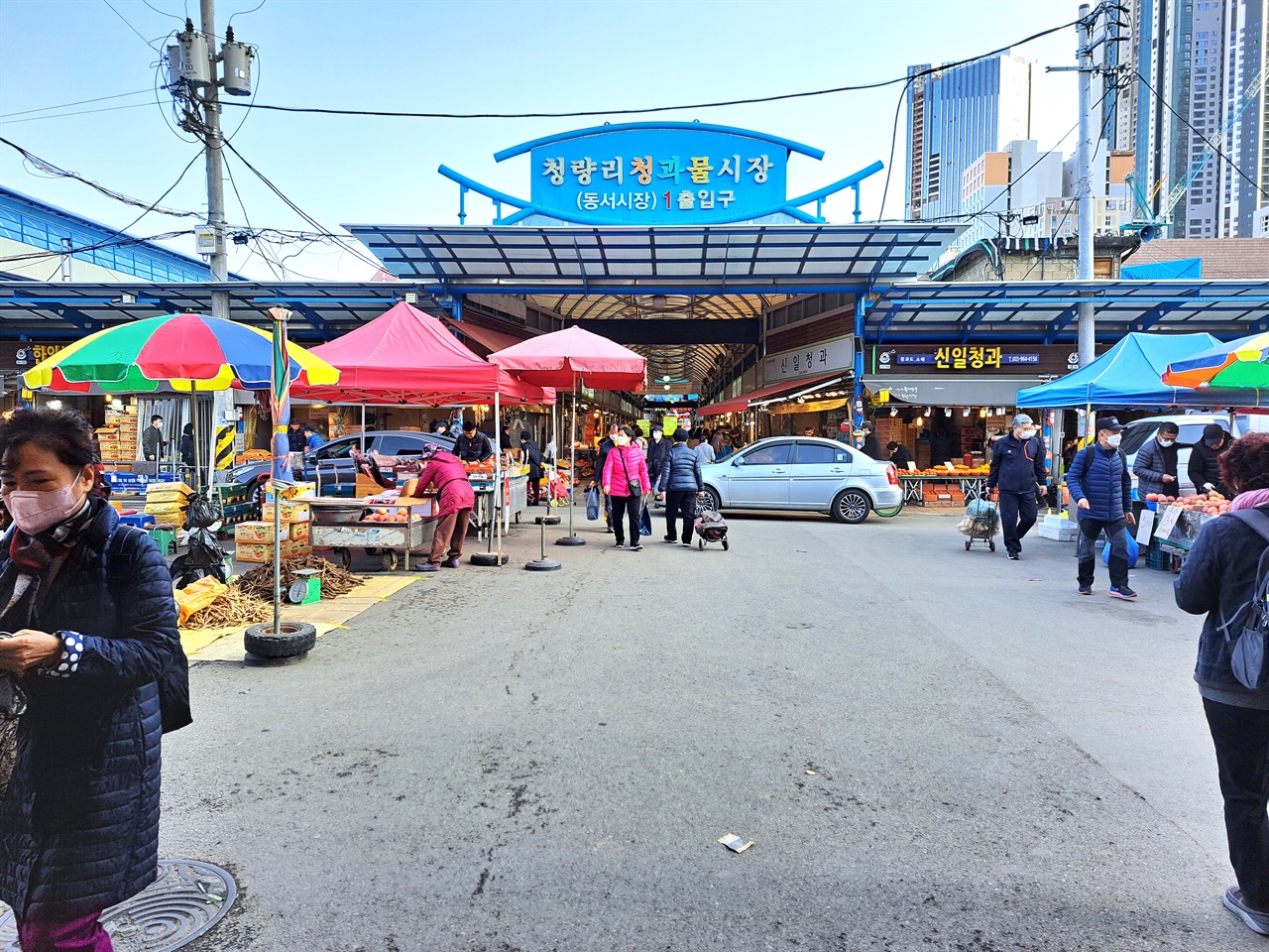 1949년 개설된 청량리 청과물시장. 경동시장과 더불어 서울 약령시가 탄생하게 한 밑거름이었다.