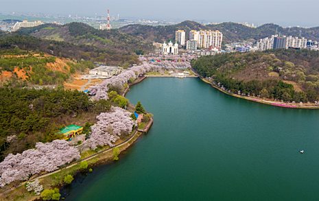 인터넷에 검색해도 나오지 않는 군산 이야기