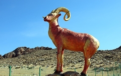 낙타는 남았는데, 역사 속으로 사라진 몽골의 '티로드'