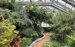 [사진] 구아바, 애플망고... 열대식물 보러 온실 오세요