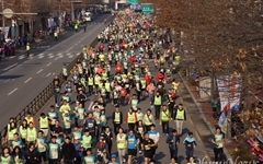 국내 유일 '골드라벨' 대회인 대구국제마라톤대회 4월 2일 열려