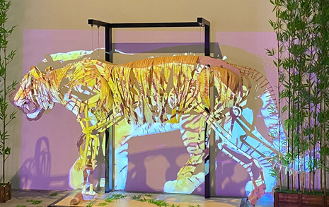 광주디자인비엔날레에 나타난 거대한 호랑이의 정체