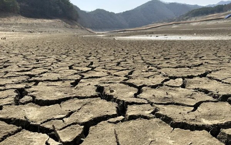 댐 10개 더 지어 가뭄 해결? 환경부의 무책임한 계획 