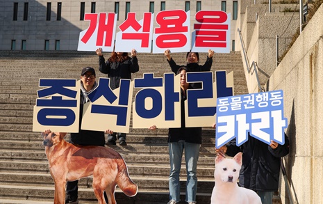 [오마이포토] 동물권 행동 카라 '개식용 종식' 캠페인