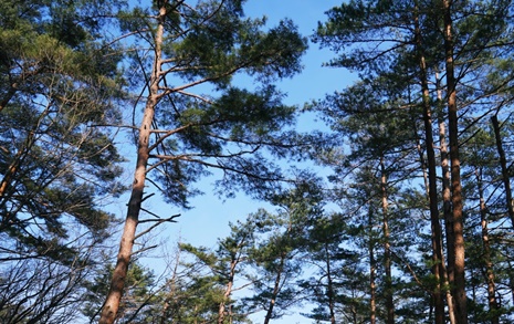 [사진] 새벽 바다, 돌 구르는 소리가 요란하다