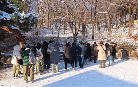 희귀새 '아물쇠딱다구리'가 서울 불광근린공원에 있다