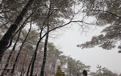 [사진] 경주 남산 석불좌상에 눈이 쌓이면