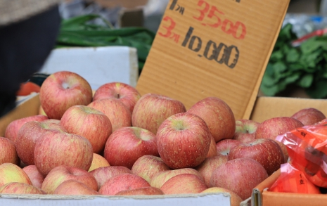 사과 농부에게서 직접 들은 올해 사과가 비싼 이유 