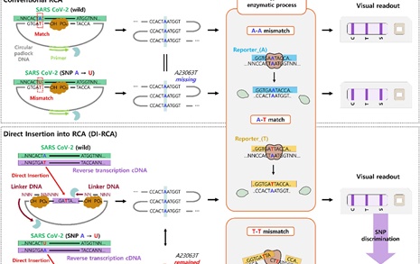 '핵산 증폭 오류차단'으로 팬데믹 바이러스 변이 추적센서 개발