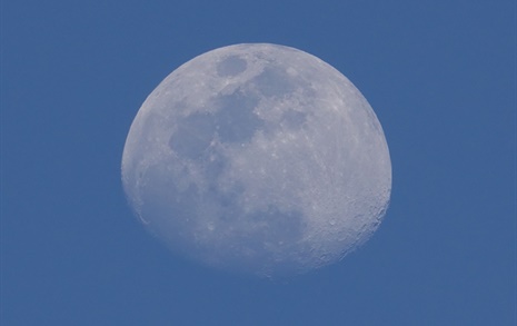 [사진] 밝은 하늘에 뜬 둥근 달