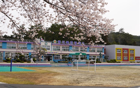벚꽃 가득한 농촌 초등학교... 이 학교의 사계절
