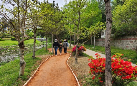 [김해] 율하천공원, 380m 맨발걷기 황톳길 개장