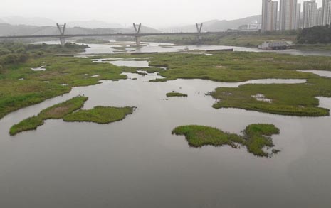 '비단강' 모습 되찾은 금강에 왜 다시... 환경부는 멈춰라