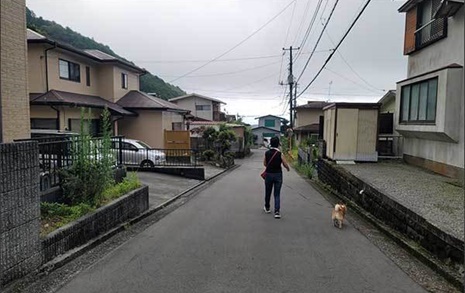 인구소멸의 현장, '빈집' 순례가 돼버린 미시마 산책