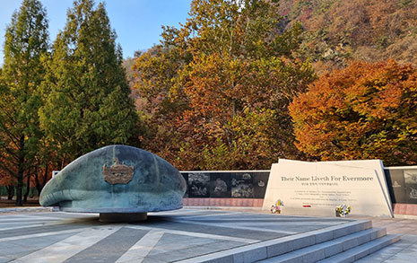 계급장 떼고 도피한 지휘관, 국군이 저지른 참담한 패전