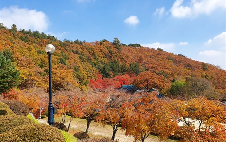 시골살이에서 '아싸'로 사는 법을 배우다