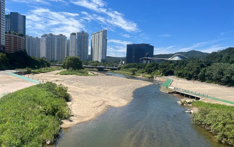 악취 풍기던 성남 탄천, 이젠 이런 동물까지 산다고?