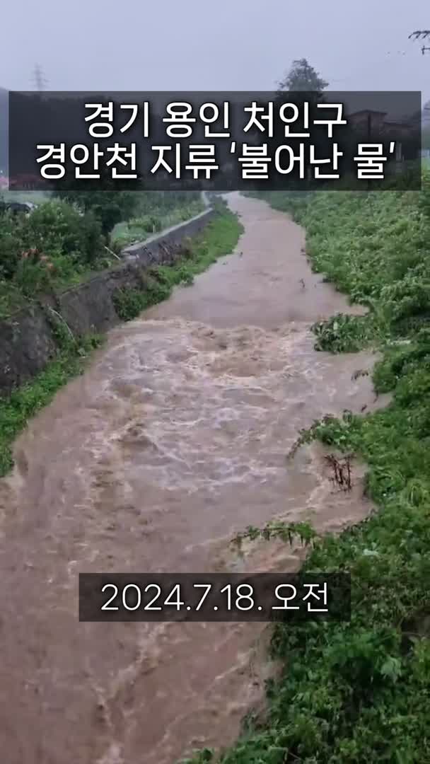 [영상] '호우 경보' 용인, 불어난 물 거세진 경안천 지류