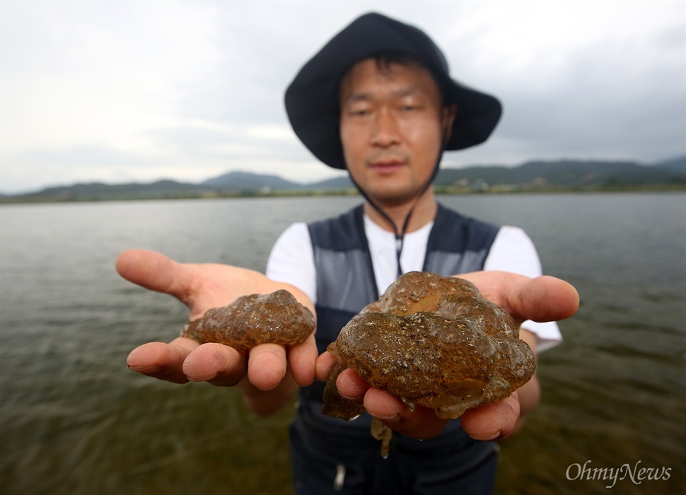  '낙동강지킴이' 정수근 시민기자가 24일 오후 낙동강 구미구간에서 건져올린 큰빗이끼벌레를 보여주고 있다.