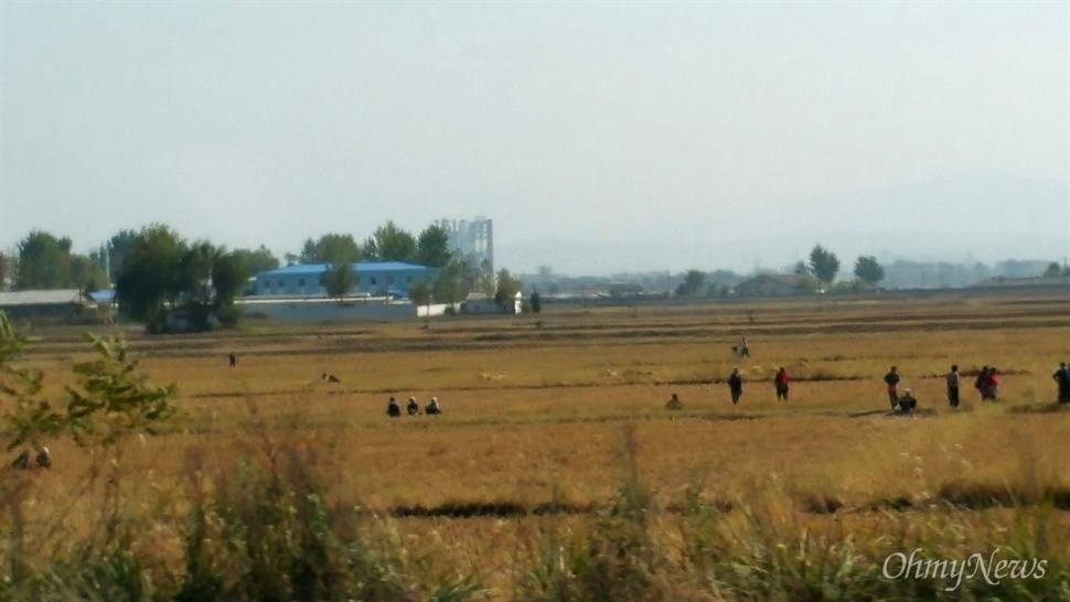  지난 16일 평안남도 안주시 풍경. 농경지 위에 북한 주민들이 삼삼오오 모여 있다. 